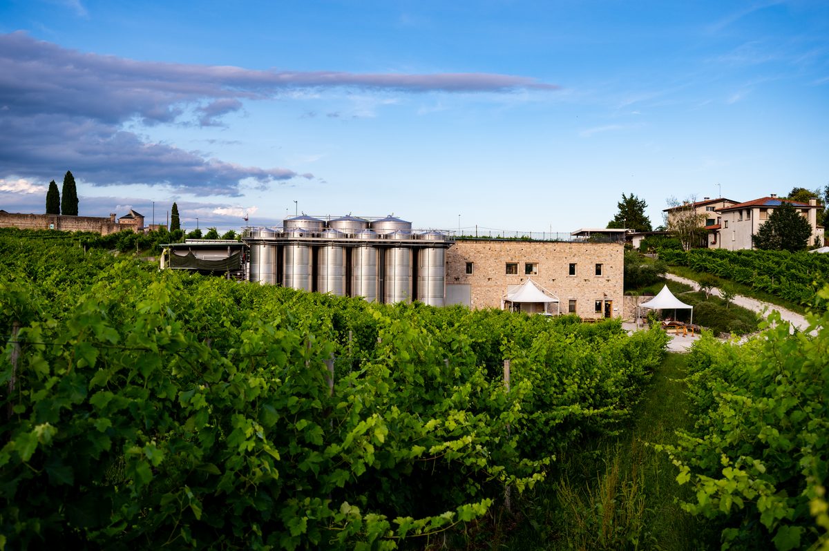 Cantina Toffoli Vincenzo a Refrontolo
