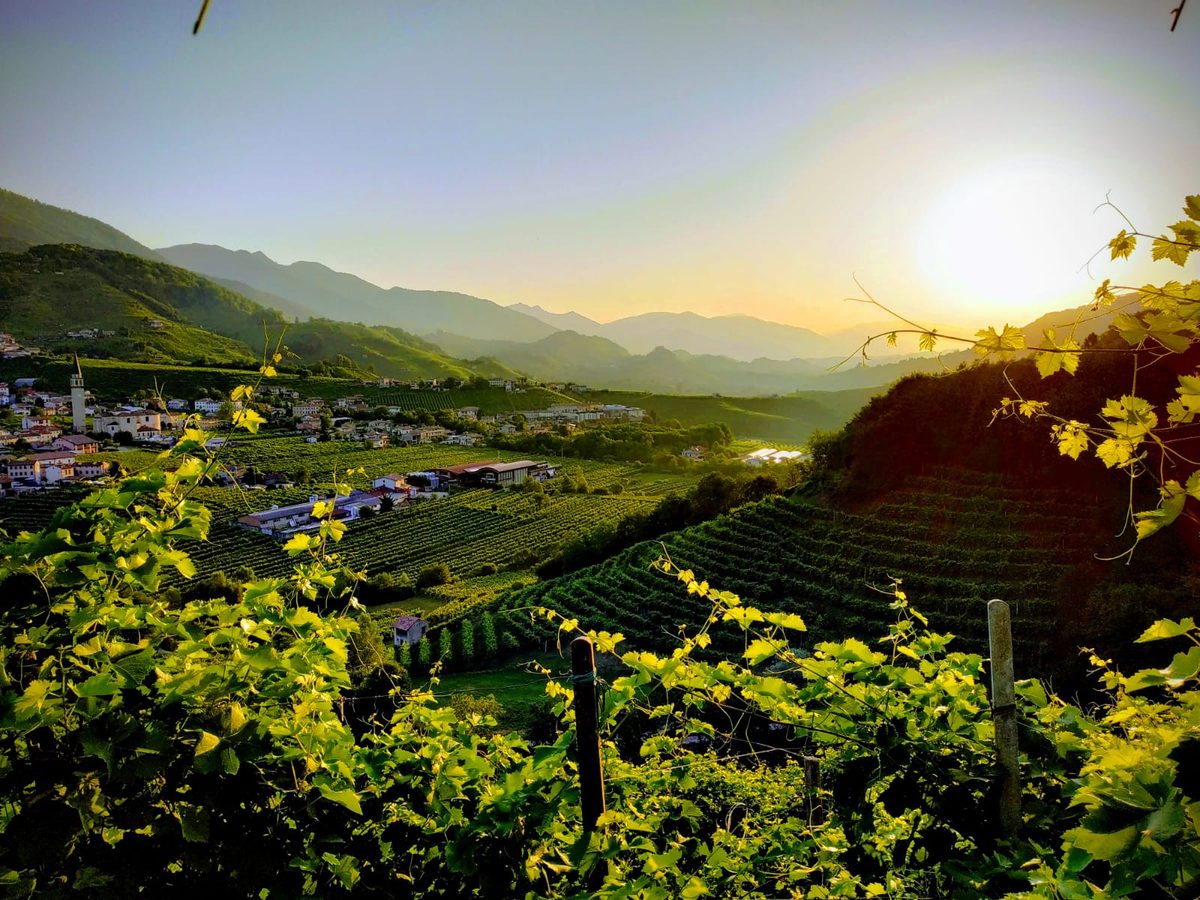 Cantina Marsuret a Valdobbiadene