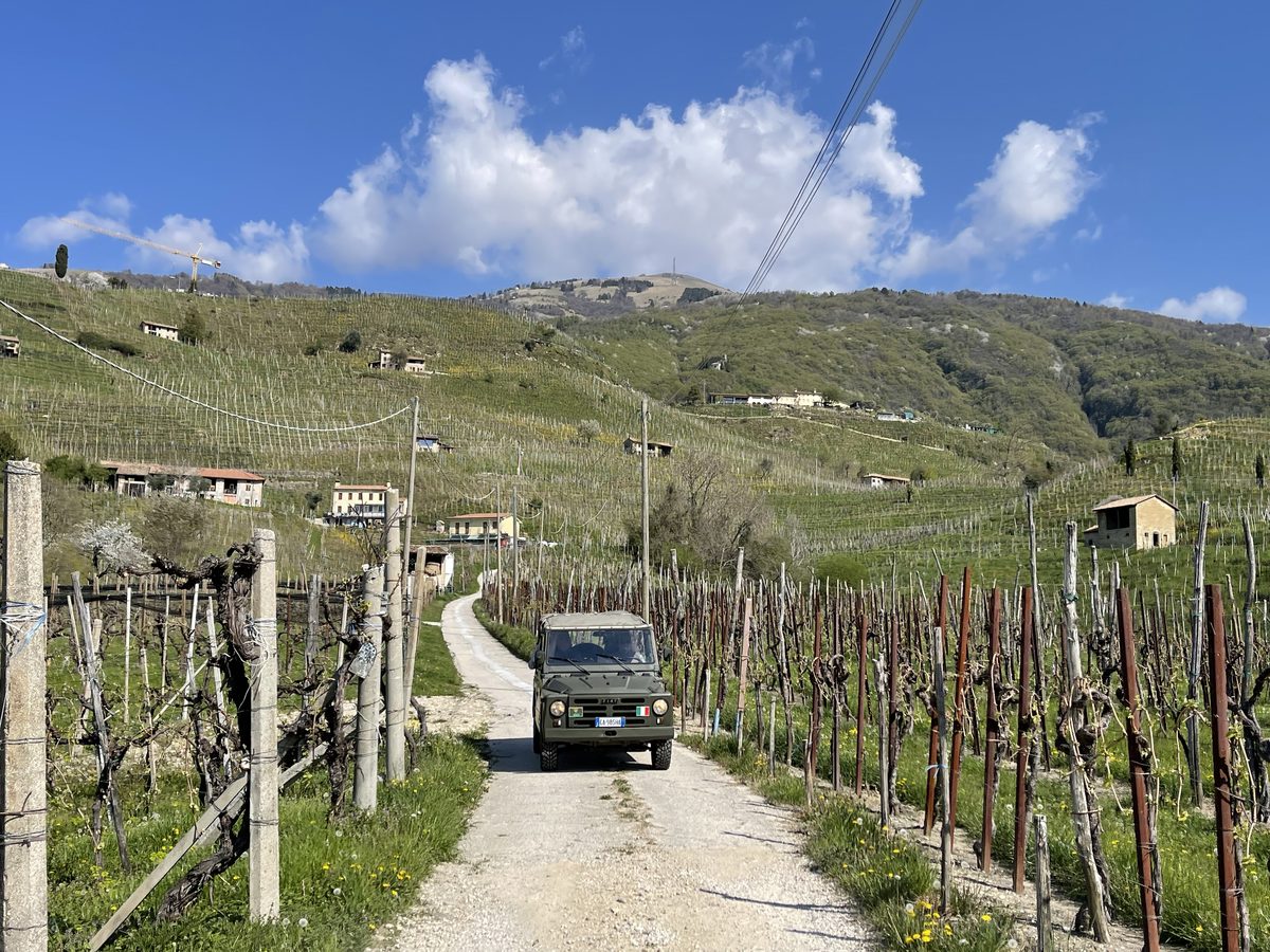 L'Eredità dell'Ambasciatore