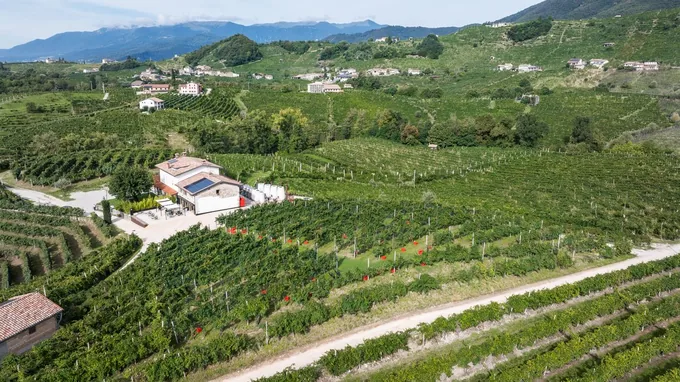Cantina PDC Cartizze, foto 2