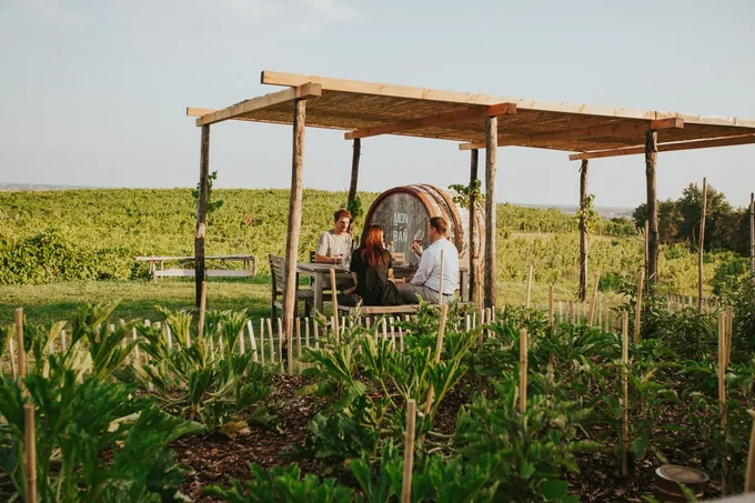 Weingut Monban, Foto 2