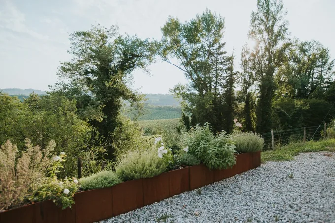Weingut Monban, Foto 4