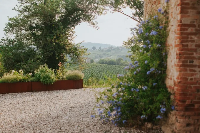 Visita e degustazione - Scopri i vini naturali tra le colline del Prosecco