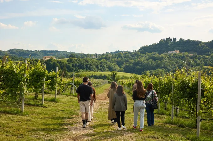 Weingut Moretvini, Foto 2
