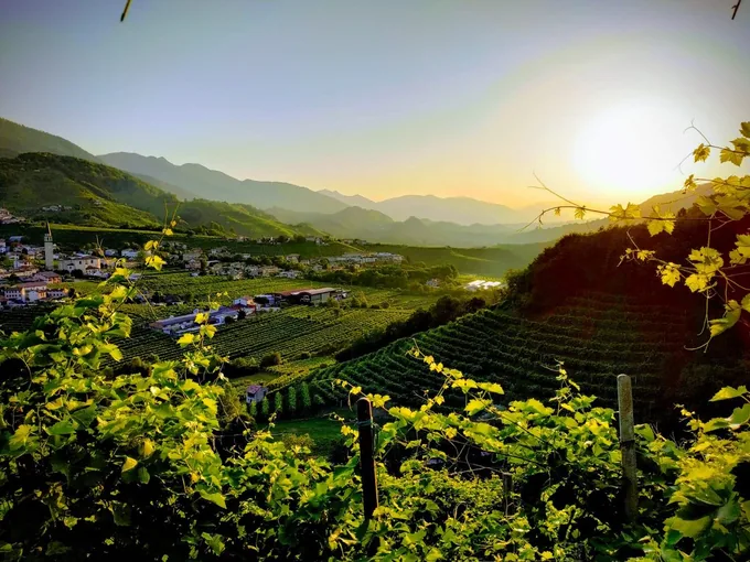 Cantina Marsuret a Valdobbiadene