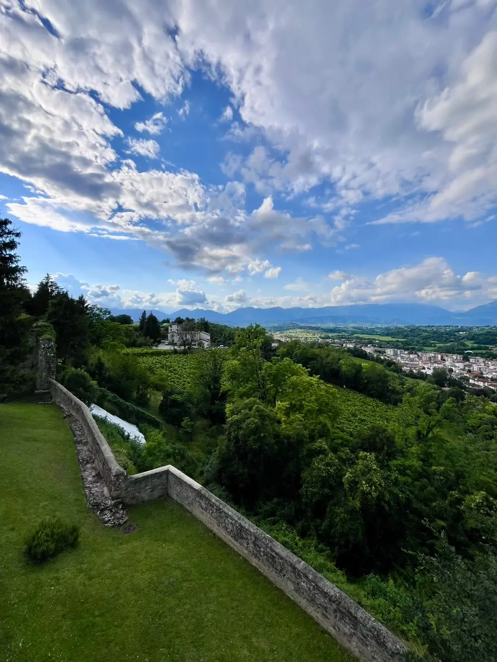 Le colline di Conegliano
