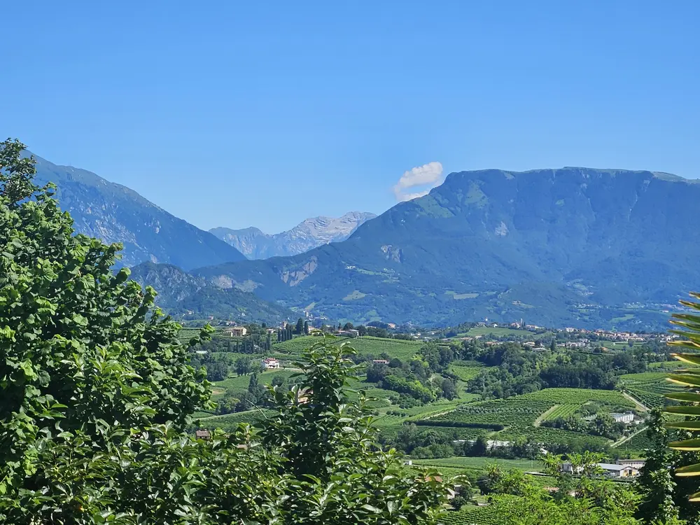 Colline di Conegliano con il Cansiglio sullo sfondo