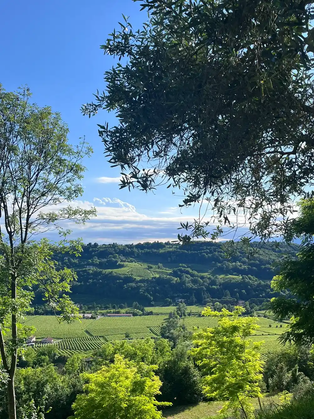 Scorcio verde da Mura