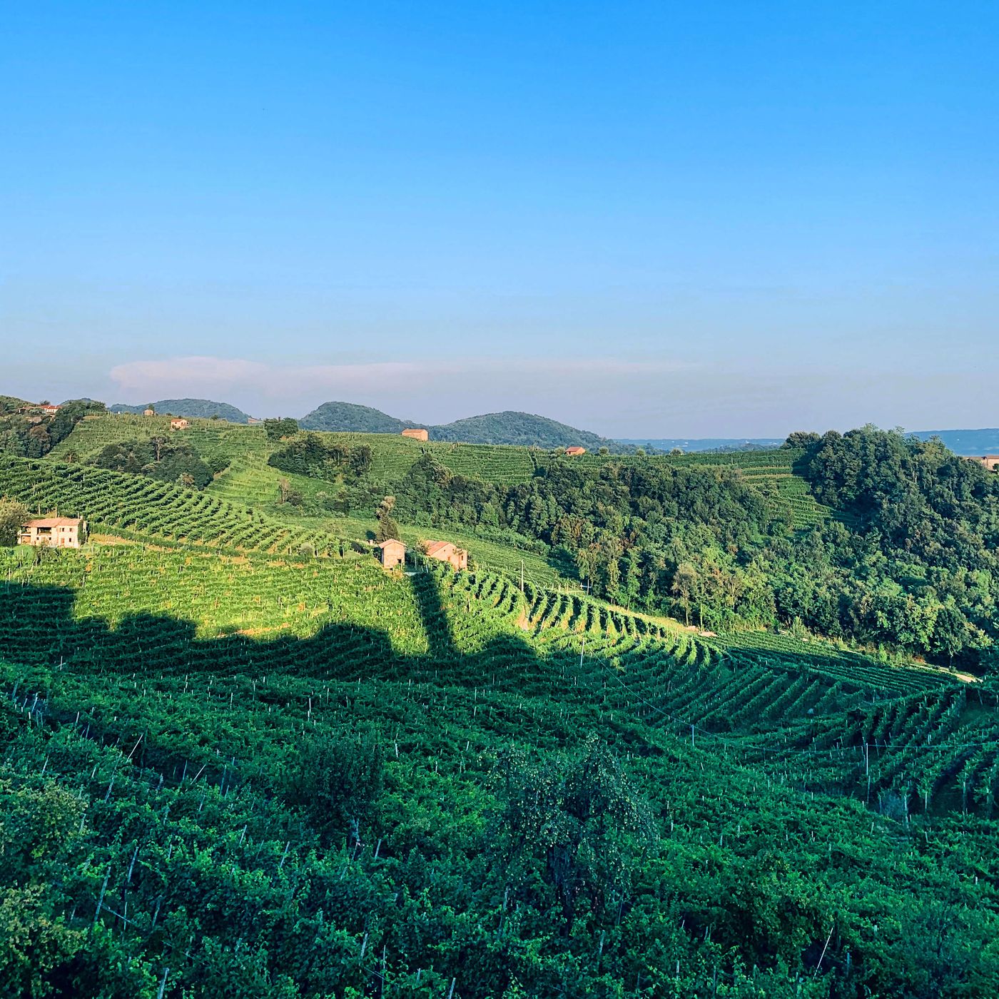 Le colline del Prosecco Superiore DOCG, patrimonio UNESCO