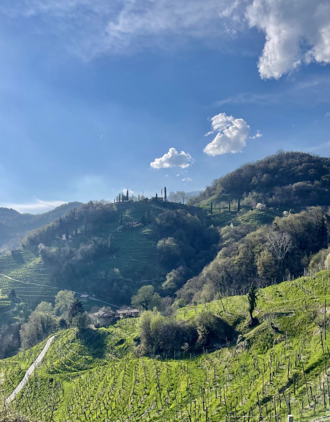 Hills of Prosecco Superiore DOCG, a UNESCO World Heritage site
