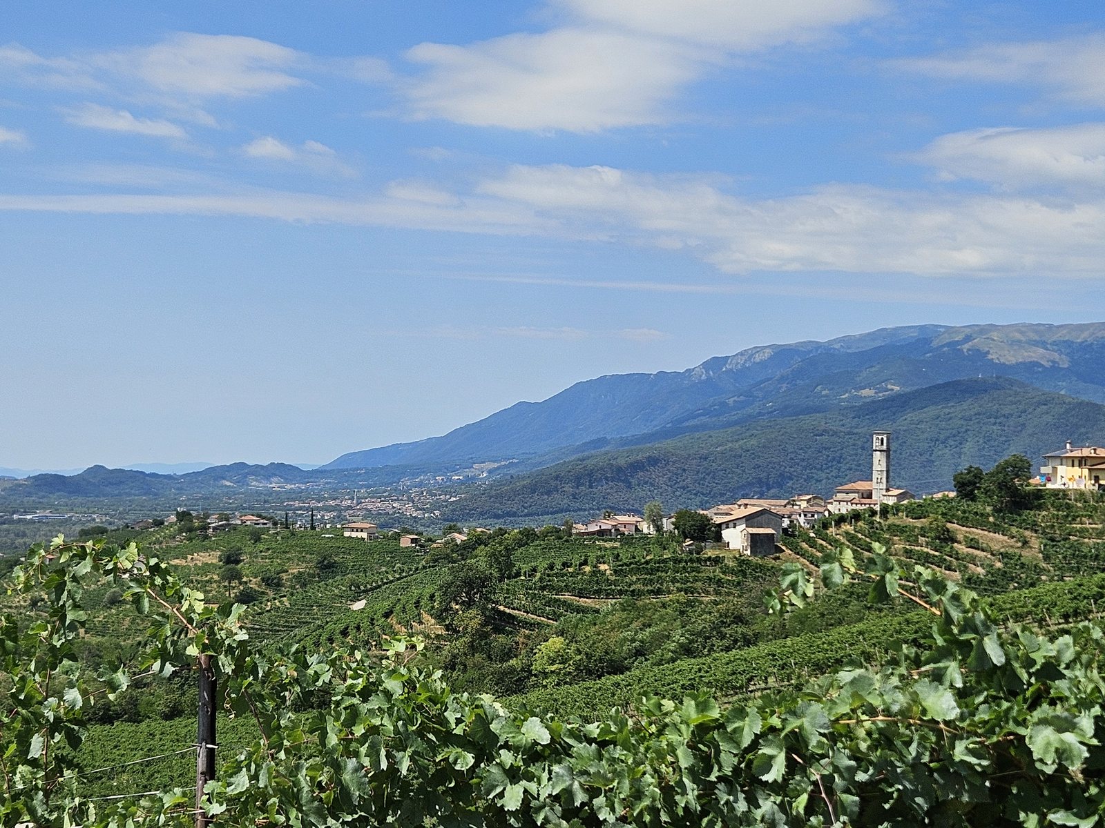 Vigneti terrazzati e il borgo di San Pietro di Barbozza lungo la Strada del Prosecco, con le Prealpi trevigiane sullo sfondo